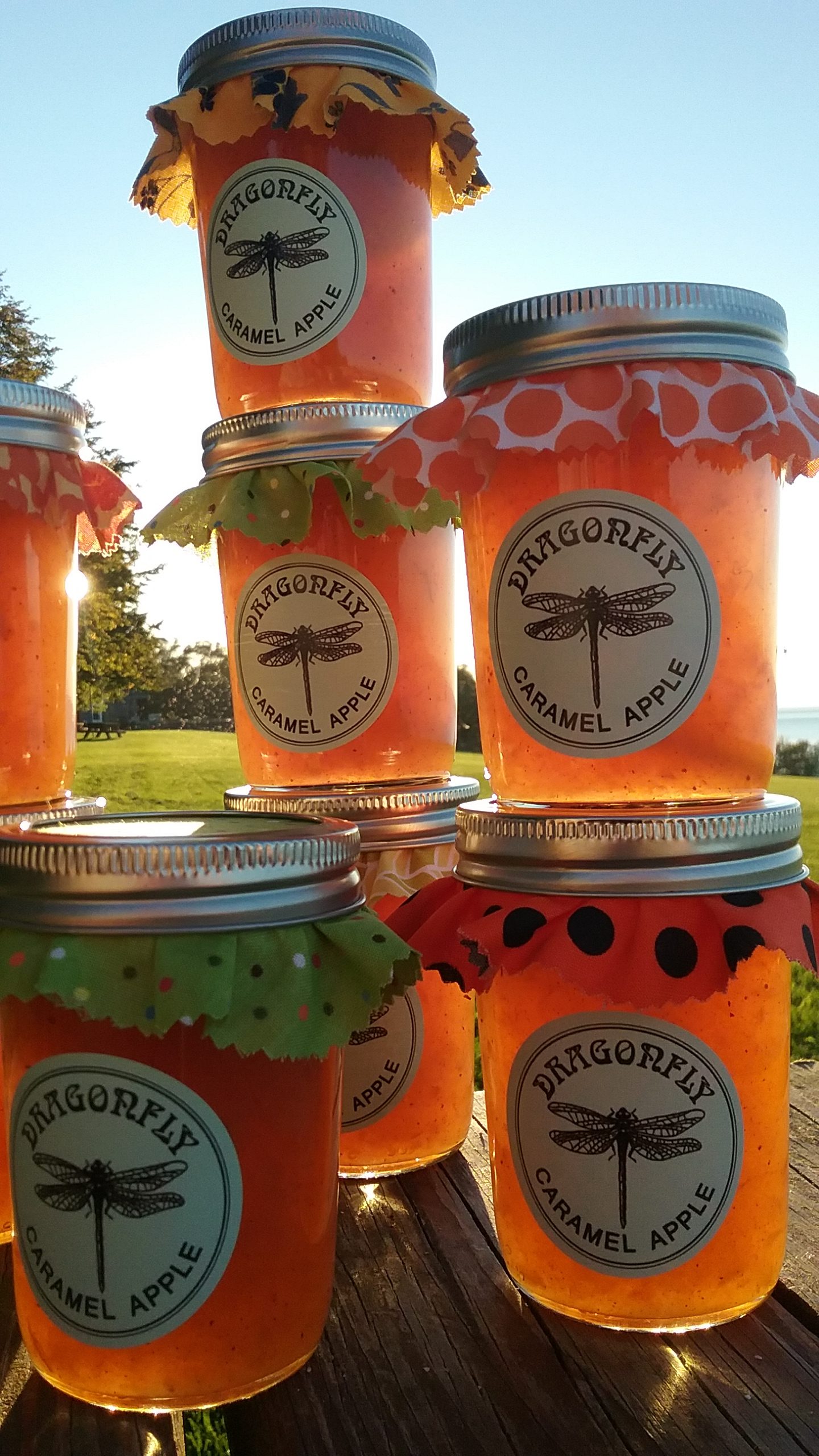 Dragonfly Jams & Jellies Premier Promotions Premier Promotions