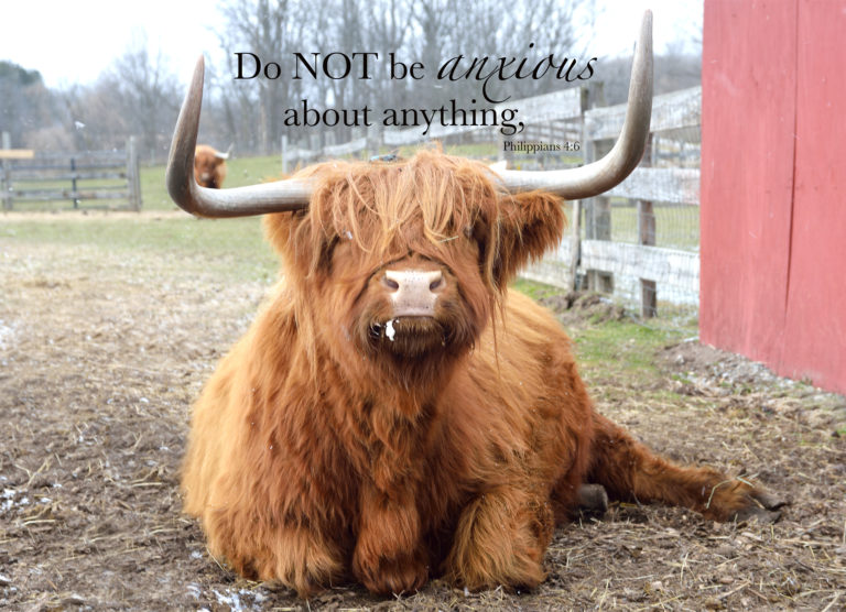 Subtle Verse Premier Promotions Premier Promotions